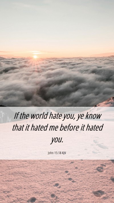 Picture 06 - John 15:18 KJV Mobile Phone Wallpaper - If the world hate you, ye know that it hated me - Mobile Bible Verse Wallpaper