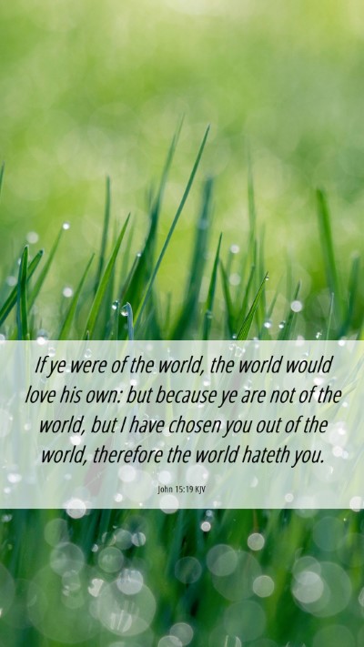 Picture 06 - John 15:19 KJV Mobile Phone Wallpaper - If ye were of the world, the world would love his - Mobile Bible Verse Wallpaper