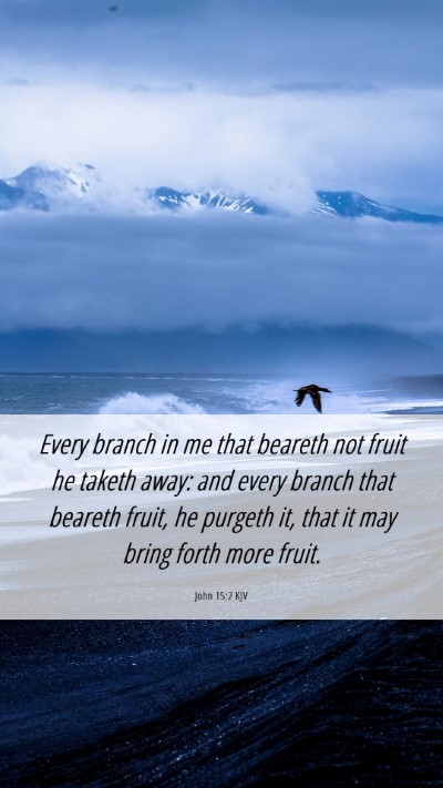 Picture 06 - John 15:2 KJV Mobile Phone Wallpaper - Every branch in me that beareth not fruit he - Mobile Bible Verse Wallpaper