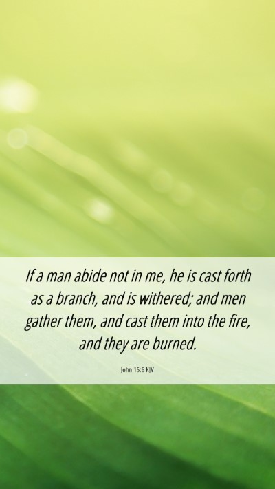 Picture 06 - John 15:6 KJV Mobile Phone Wallpaper - If a man abide not in me, he is cast forth as a - Mobile Bible Verse Wallpaper