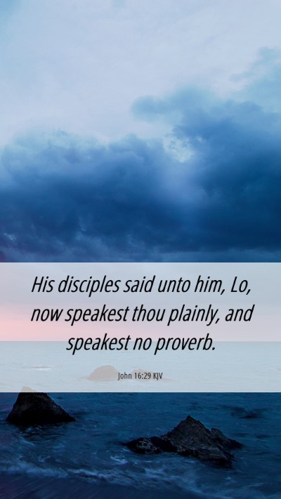 Picture 06 - John 16:29 KJV Mobile Phone Wallpaper - His disciples said unto him, Lo, now speakest - Mobile Bible Verse Wallpaper