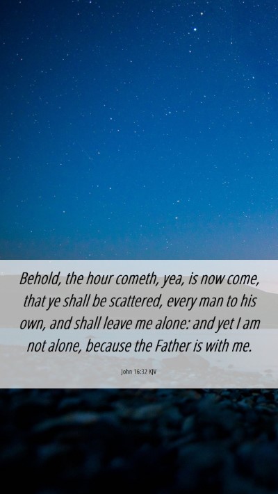 Picture 06 - John 16:32 KJV Mobile Phone Wallpaper - Behold, the hour cometh, yea, is now come, that - Mobile Bible Verse Wallpaper