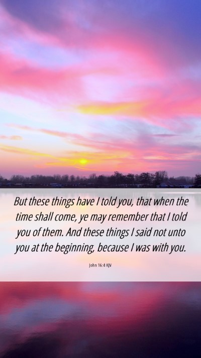 Picture 06 - John 16:4 KJV Mobile Phone Wallpaper - But these things have I told you, that when the - Mobile Bible Verse Wallpaper