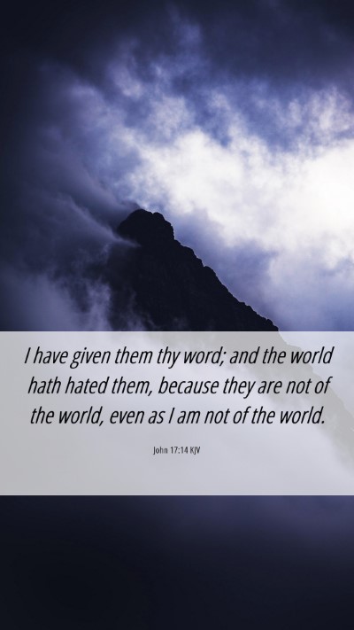 Picture 06 - John 17:14 KJV Mobile Phone Wallpaper - I have given them thy word; and the world hath - Mobile Bible Verse Wallpaper