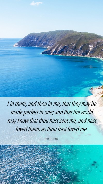 Picture 06 - John 17:23 KJV Mobile Phone Wallpaper - I in them, and thou in me, that they may be made - Mobile Bible Verse Wallpaper