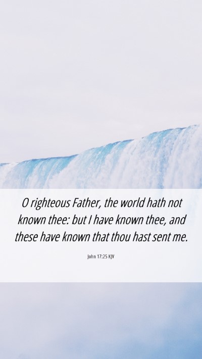 Picture 06 - John 17:25 KJV Mobile Phone Wallpaper - O righteous Father, the world hath not known - Mobile Bible Verse Wallpaper