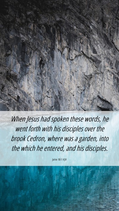 Picture 06 - John 18:1 KJV Mobile Phone Wallpaper - When Jesus had spoken these words, he went forth - Mobile Bible Verse Wallpaper