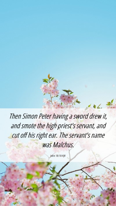 Picture 06 - John 18:10 KJV Mobile Phone Wallpaper - Then Simon Peter having a sword drew it, and - Mobile Bible Verse Wallpaper