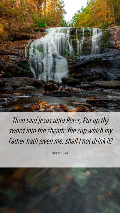 Picture 06 - John 18:11 KJV Mobile Phone Wallpaper - Then said Jesus unto Peter, Put up thy sword into - Mobile Bible Verse Wallpaper