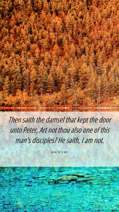 Picture 06 - John 18:17 KJV Mobile Phone Wallpaper - Then saith the damsel that kept the door unto - Mobile Bible Verse Wallpaper