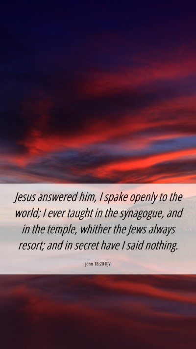 Picture 06 - John 18:20 KJV Mobile Phone Wallpaper - Jesus answered him, I spake openly to the world; - Mobile Bible Verse Wallpaper