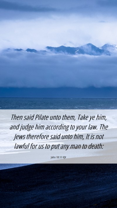 Picture 06 - John 18:31 KJV Mobile Phone Wallpaper - Then said Pilate unto them, Take ye him, and - Mobile Bible Verse Wallpaper