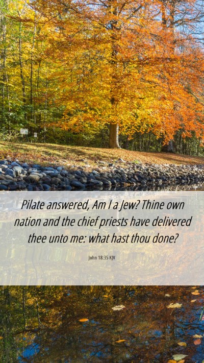 Picture 06 - John 18:35 KJV Mobile Phone Wallpaper - Pilate answered, Am I a Jew? Thine own nation and - Mobile Bible Verse Wallpaper