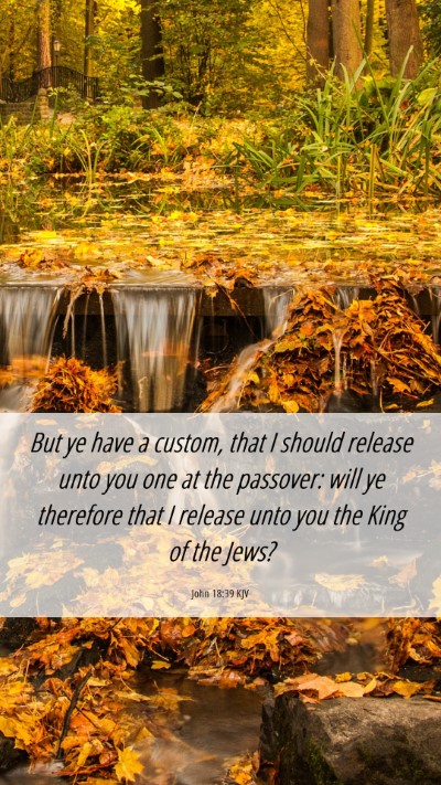 Picture 06 - John 18:39 KJV Mobile Phone Wallpaper - But ye have a custom, that I should release unto - Mobile Bible Verse Wallpaper