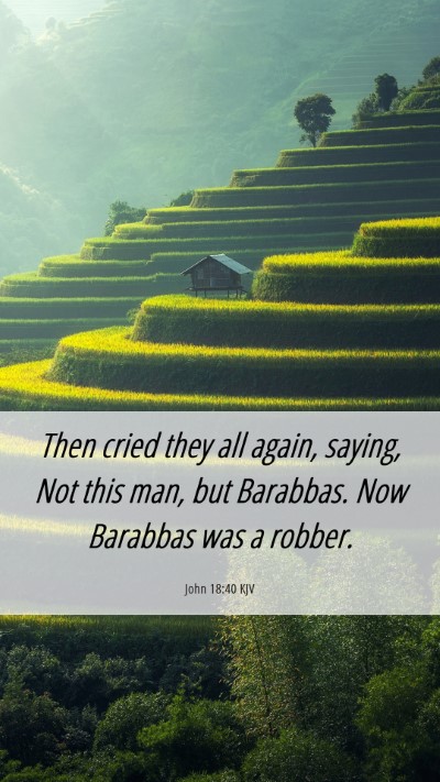 Picture 06 - John 18:40 KJV Mobile Phone Wallpaper - Then cried they all again, saying, Not this man, - Mobile Bible Verse Wallpaper