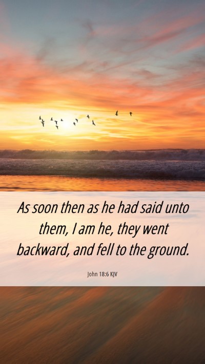 Picture 06 - John 18:6 KJV Mobile Phone Wallpaper - As soon then as he had said unto them, I am he, - Mobile Bible Verse Wallpaper