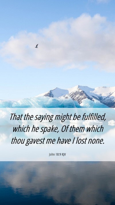 Picture 06 - John 18:9 KJV Mobile Phone Wallpaper - That the saying might be fulfilled, which he - Mobile Bible Verse Wallpaper