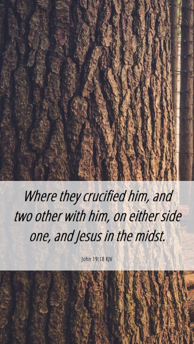 Picture 06 - John 19:18 KJV Mobile Phone Wallpaper - Where they crucified him, and two other with him, - Mobile Bible Verse Wallpaper