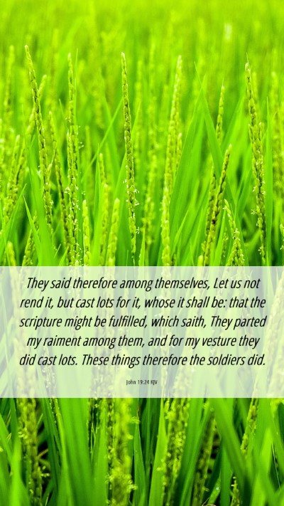 Picture 06 - John 19:24 KJV Mobile Phone Wallpaper - They said therefore among themselves, Let us not - Mobile Bible Verse Wallpaper