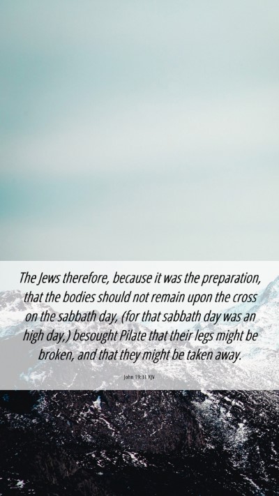 Picture 06 - John 19:31 KJV Mobile Phone Wallpaper - The Jews therefore, because it was the - Mobile Bible Verse Wallpaper