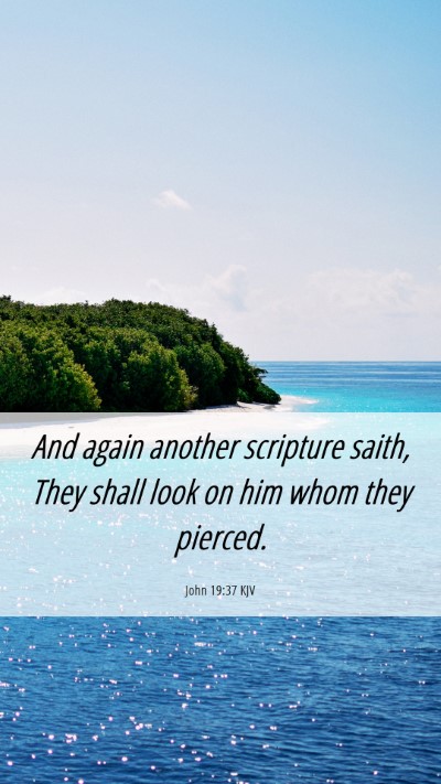 Picture 06 - John 19:37 KJV Mobile Phone Wallpaper - And again another scripture saith, They shall - Mobile Bible Verse Wallpaper
