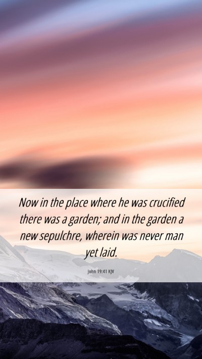 Picture 06 - John 19:41 KJV Mobile Phone Wallpaper - Now in the place where he was crucified there was - Mobile Bible Verse Wallpaper