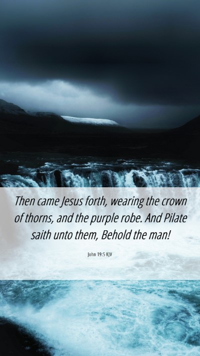 Picture 06 - John 19:5 KJV Mobile Phone Wallpaper - Then came Jesus forth, wearing the crown of - Mobile Bible Verse Wallpaper