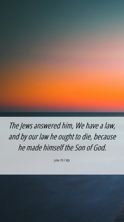 Picture 06 - John 19:7 KJV Mobile Phone Wallpaper - The Jews answered him, We have a law, and by our - Mobile Bible Verse Wallpaper