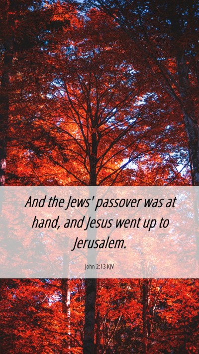 Picture 06 - John 2:13 KJV Mobile Phone Wallpaper - And the Jews' passover was at hand, and Jesus - Mobile Bible Verse Wallpaper