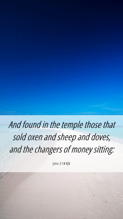 Picture 06 - John 2:14 KJV Mobile Phone Wallpaper - And found in the temple those that sold oxen and - Mobile Bible Verse Wallpaper