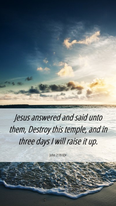 Picture 06 - John 2:19 KJV Mobile Phone Wallpaper - Jesus answered and said unto them, Destroy this - Mobile Bible Verse Wallpaper