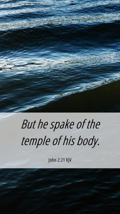 Picture 06 - John 2:21 KJV Mobile Phone Wallpaper - But he spake of the temple of his - Mobile Bible Verse Wallpaper