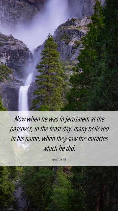 Picture 06 - John 2:23 KJV Mobile Phone Wallpaper - Now when he was in Jerusalem at the passover, in - Mobile Bible Verse Wallpaper