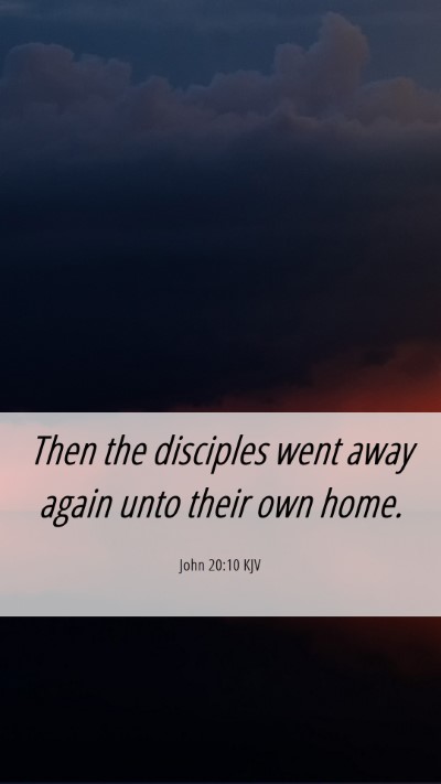 Picture 06 - John 20:10 KJV Mobile Phone Wallpaper - Then the disciples went away again unto their own - Mobile Bible Verse Wallpaper