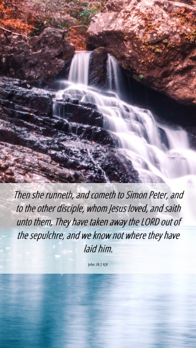 Picture 06 - John 20:2 KJV Mobile Phone Wallpaper - Then she runneth, and cometh to Simon Peter, and - Mobile Bible Verse Wallpaper