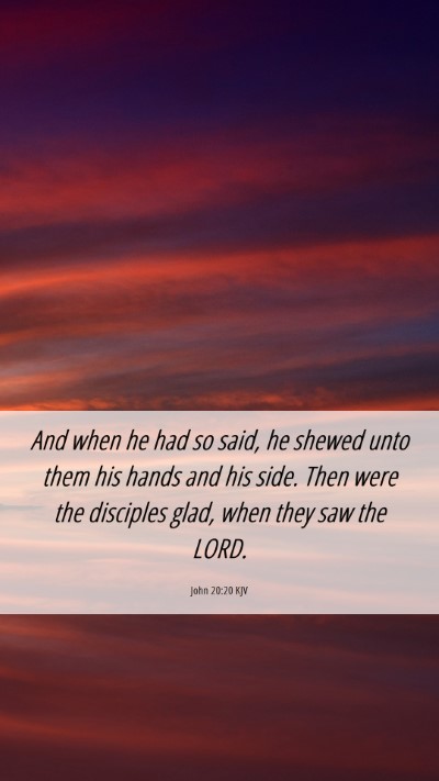 Picture 06 - John 20:20 KJV Mobile Phone Wallpaper - And when he had so said, he shewed unto them his - Mobile Bible Verse Wallpaper