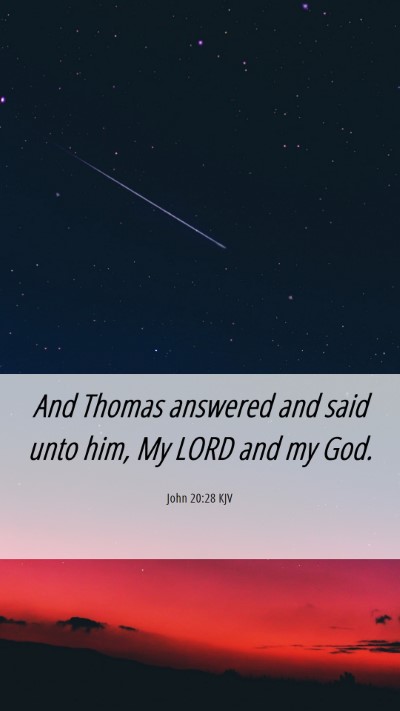 Picture 06 - John 20:28 KJV Mobile Phone Wallpaper - And Thomas answered and said unto him, My LORD - Mobile Bible Verse Wallpaper