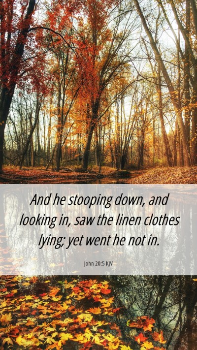 Picture 06 - John 20:5 KJV Mobile Phone Wallpaper - And he stooping down, and looking in, saw the - Mobile Bible Verse Wallpaper