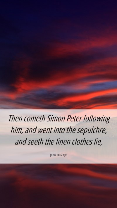 Picture 06 - John 20:6 KJV Mobile Phone Wallpaper - Then cometh Simon Peter following him, and went - Mobile Bible Verse Wallpaper
