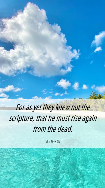 Picture 06 - John 20:9 KJV Mobile Phone Wallpaper - For as yet they knew not the scripture, that he - Mobile Bible Verse Wallpaper