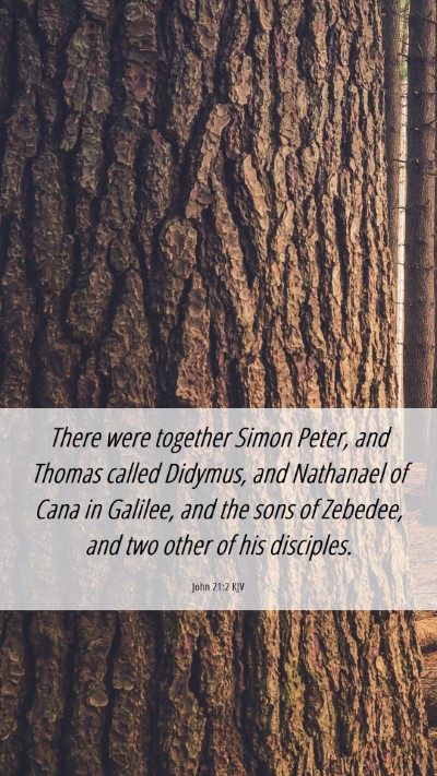 Picture 06 - John 21:2 KJV Mobile Phone Wallpaper - There were together Simon Peter, and Thomas - Mobile Bible Verse Wallpaper