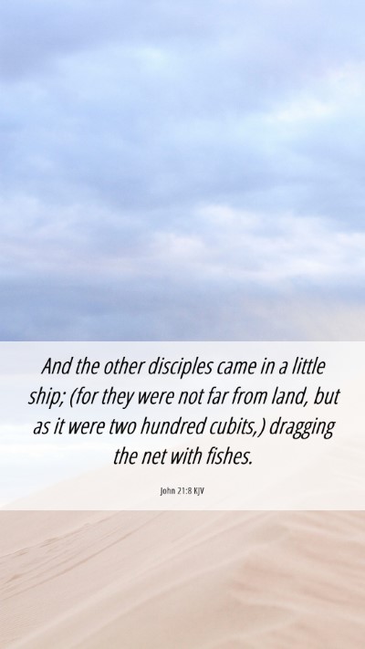 Picture 06 - John 21:8 KJV Mobile Phone Wallpaper - And the other disciples came in a little ship; - Mobile Bible Verse Wallpaper