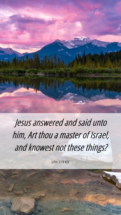 Picture 06 - John 3:10 KJV Mobile Phone Wallpaper - Jesus answered and said unto him, Art thou a - Mobile Bible Verse Wallpaper