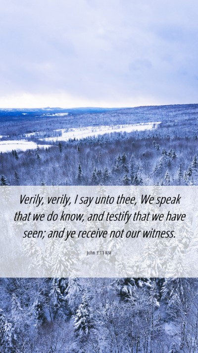 Picture 06 - John 3:11 KJV Mobile Phone Wallpaper - Verily, verily, I say unto thee, We speak that we - Mobile Bible Verse Wallpaper