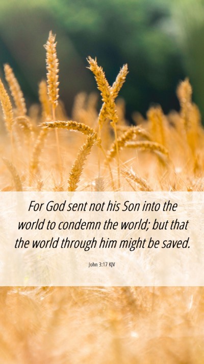 Picture 06 - John 3:17 KJV Mobile Phone Wallpaper - For God sent not his Son into the world to - Mobile Bible Verse Wallpaper