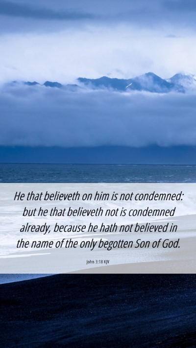 Picture 06 - John 3:18 KJV Mobile Phone Wallpaper - He that believeth on him is not condemned: but he - Mobile Bible Verse Wallpaper