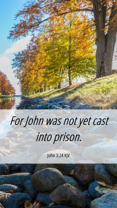 Picture 06 - John 3:24 KJV Mobile Phone Wallpaper - For John was not yet cast into - Mobile Bible Verse Wallpaper