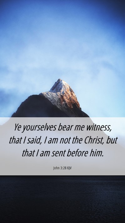 Picture 06 - John 3:28 KJV Mobile Phone Wallpaper - Ye yourselves bear me witness, that I said, I am - Mobile Bible Verse Wallpaper