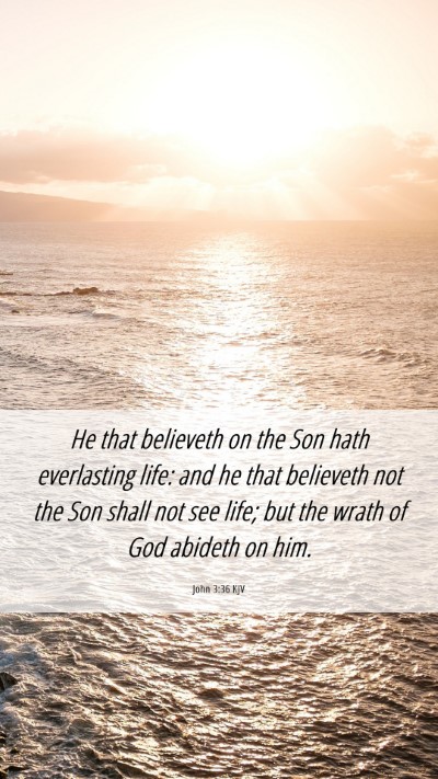 Picture 06 - John 3:36 KJV Mobile Phone Wallpaper - He that believeth on the Son hath everlasting - Mobile Bible Verse Wallpaper