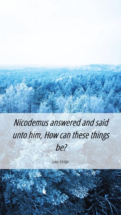 Picture 06 - John 3:9 KJV Mobile Phone Wallpaper - Nicodemus answered and said unto him, How can - Mobile Bible Verse Wallpaper